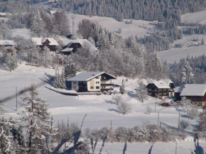 Spacious Apartment in Afritz am See near Ski Area Afritz